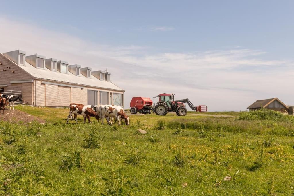 Ferienwohnung The Longhouse At Lista Farsund Exterior foto